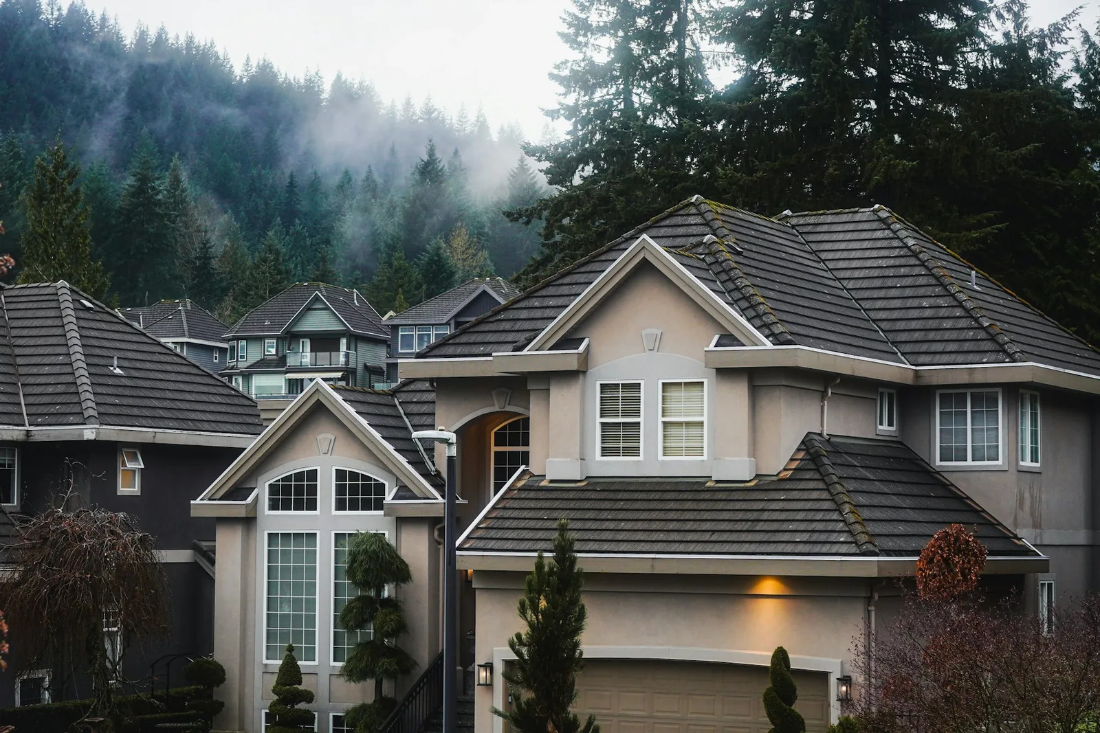 Suburban homes with mossy tile roofs below a misty fir-covered hillside